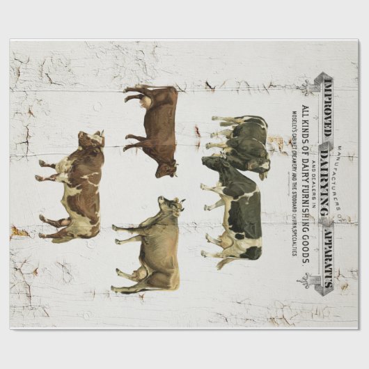 大型乳牛のヴィンテージのスタイルの古く素朴な牛 ラッピングペーパー (フラット)