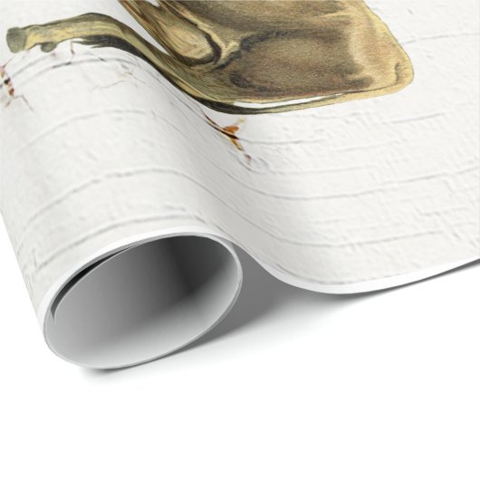 大型乳牛のヴィンテージのスタイルの古く素朴な牛 ラッピングペーパー (ロールコーナー)