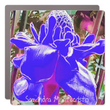 大型冷蔵庫&カーマグネットアートギャラリー#2