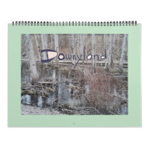 大型動植物「ダウンランド」地区