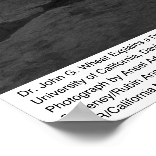 大型動物病院、UC Davis、1966 ポスター (角)