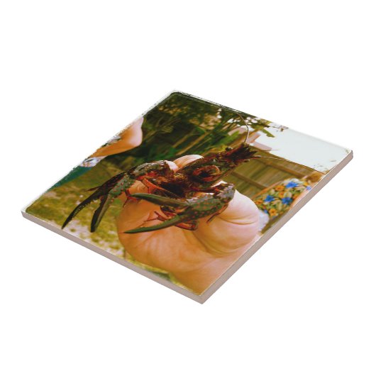 大型活魚 タイル (側面)