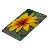 大型花磁石 マグネット (左側)