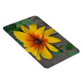 大型花磁石 マグネット (右側)