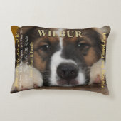 大型雑誌風ペット アクセントクッション (裏面)