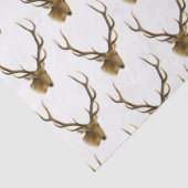 大型〔雄ジカの〕枝角付き鹿の頭#1 薄葉紙 (詳細)