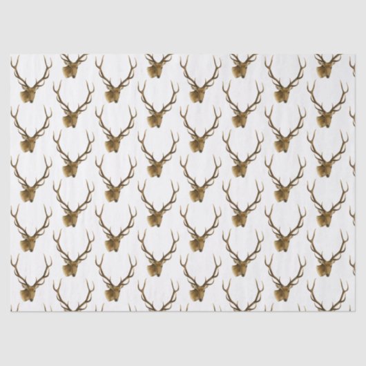 大型〔雄ジカの〕枝角付き鹿の頭#1 薄葉紙 (正面)