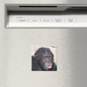 大大大大おもしろい顔 マグネット (インサイチュ (食洗機))