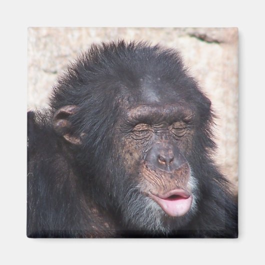 大大大大おもしろい顔 マグネット (正面)