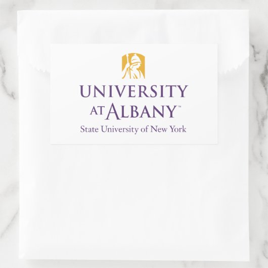 大学アットアルバニーアイコニックロゴ 長方形シール (バッグ)