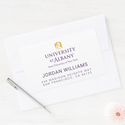 大学アットアルバニーアイコニックロゴ 長方形シール (封筒)