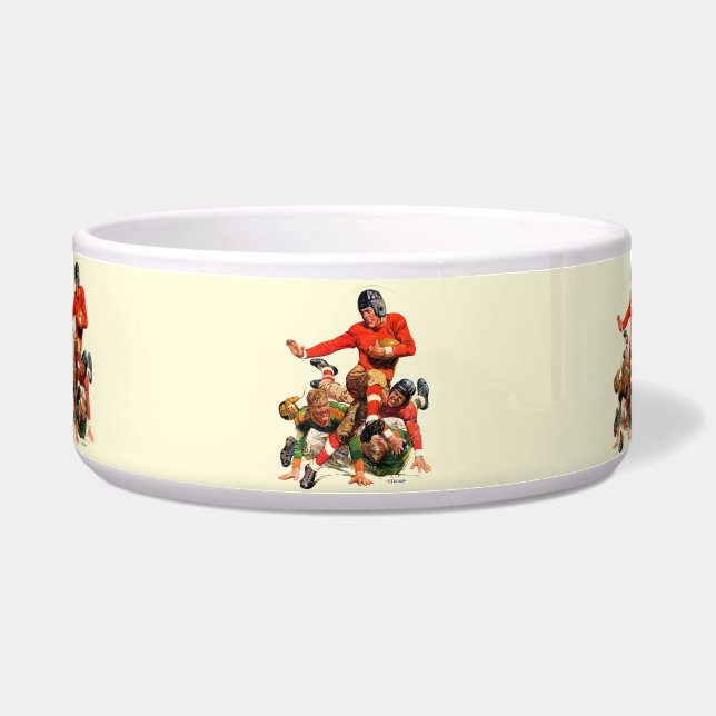 大学フットボール ボウル (正面)