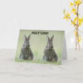 **大学卒業** カード (黄色い花)