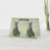 **大学卒業** カード (正面)