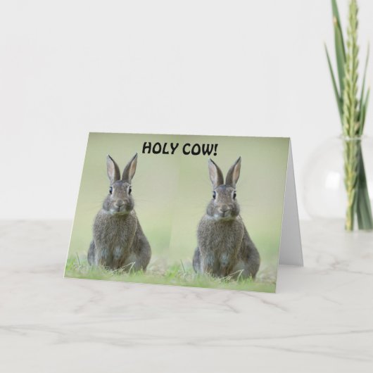 **大学卒業** カード (正面)