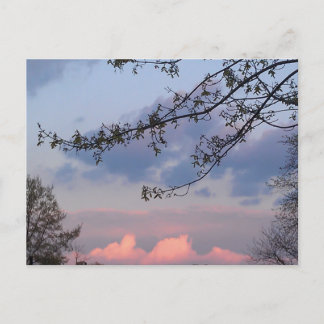 大学都市親善 ポストカード