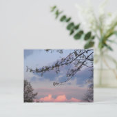 大学都市親善 ポストカード (スタンド正面)