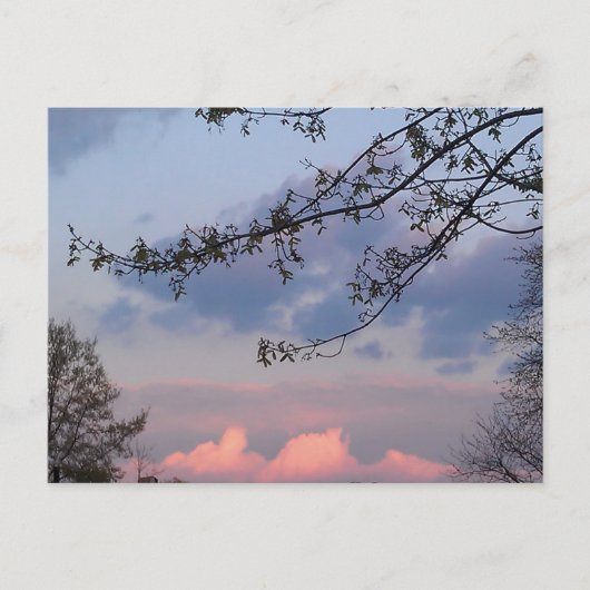 大学都市親善 ポストカード (正面)