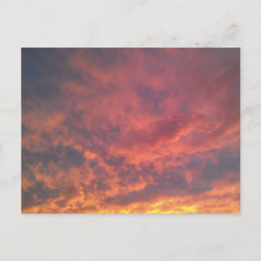 大学都市 ポストカード (正面)