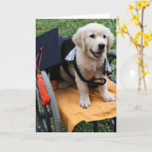 大学院のペニー カード (黄色い花)