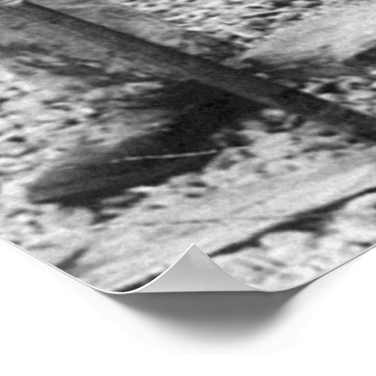 大実在魚、1900年代初期 ポスター (角)