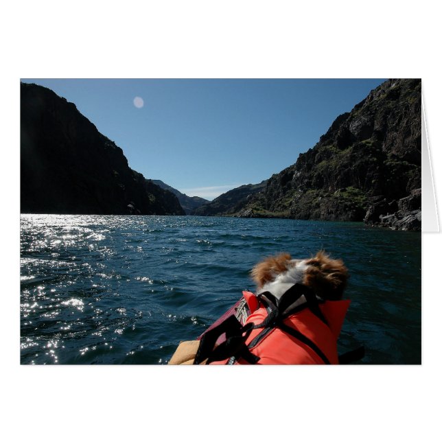 大尉Brit (正面横)