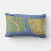 大工芸員ダンディーイリノイの地図1871 ランバークッション (裏面)