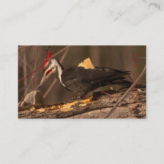 大工、木工、キャビネットメーカー、両面 名刺 (正面)