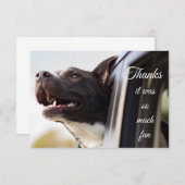 大感謝していおもしろい可愛い犬 サンキューカード (正面/裏面)