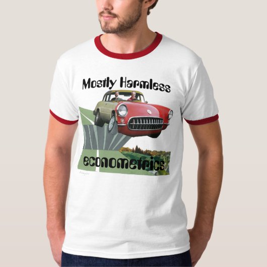 大抵無害な計量経済学の信号器のワイシャツ Tシャツ (正面)