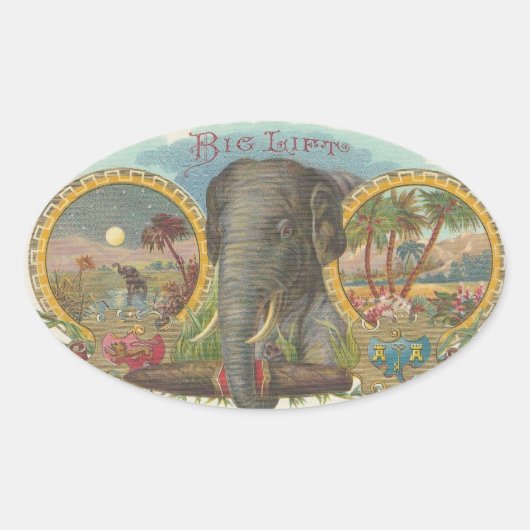 大揚力 楕円形シール (正面)