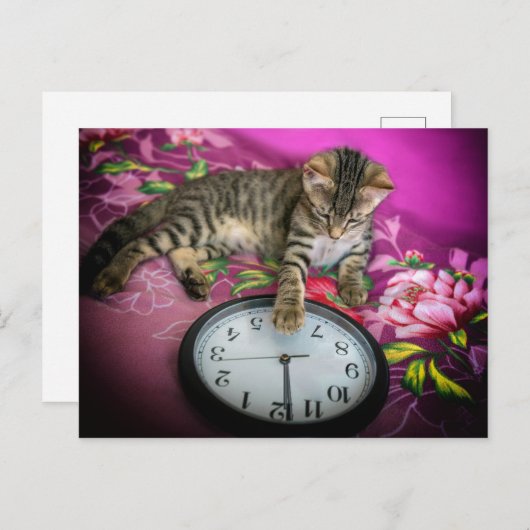 大晦日の時計キャット12 Midnight Countdown ポストカード (正面/裏面)