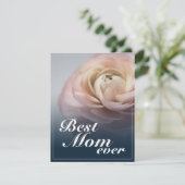 大最高のきなピンクのバラを持つ母さん (スタンド正面)