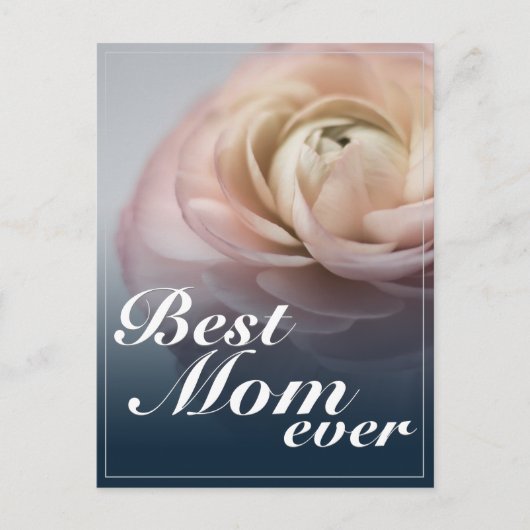 大最高のきなピンクのバラを持つ母さん シーズンポストカード (正面)