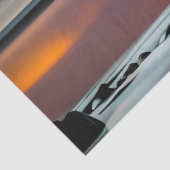 大月カラフルが水面に浮き上がり反射する 薄葉紙 (詳細)