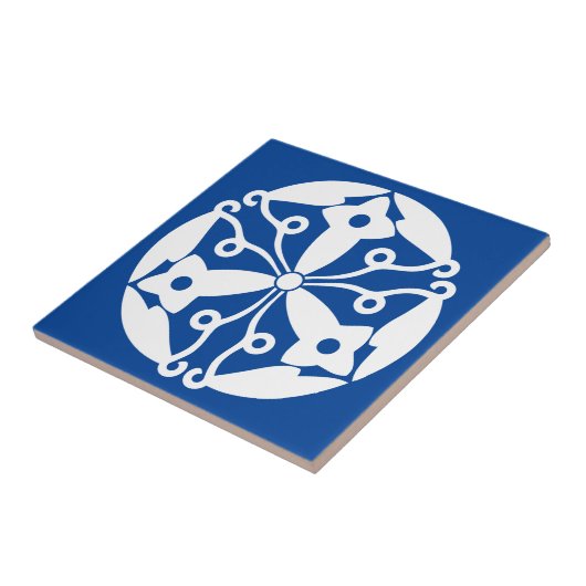 大木町レンシア タイル (側面)