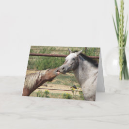 大来きなキスだ！ シーズンカード