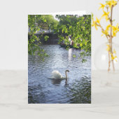 大枝の下の美しい カード (黄色い花)