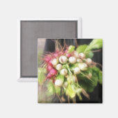 大根とカブ収穫 マグネット (正面/裏面)