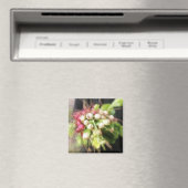 大根とカブ収穫 マグネット (インサイチュ (食洗機))