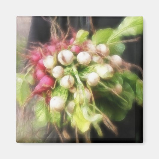 大根とカブ収穫 マグネット (正面)