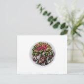 大根とローストチキンのサラダ ポストカード (スタンド正面)