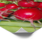 大根ポスター ポスター (角)