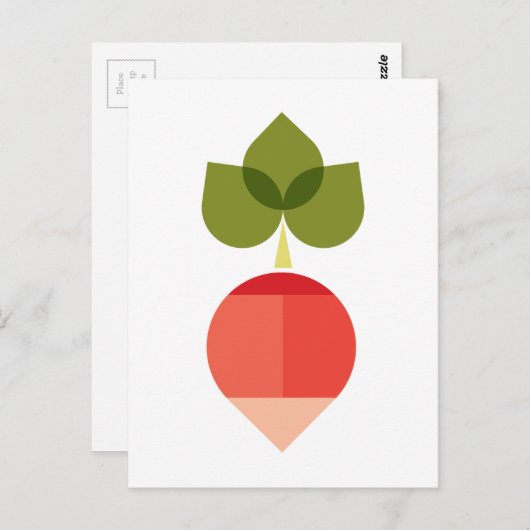 大根 ポストカード (正面/裏面)