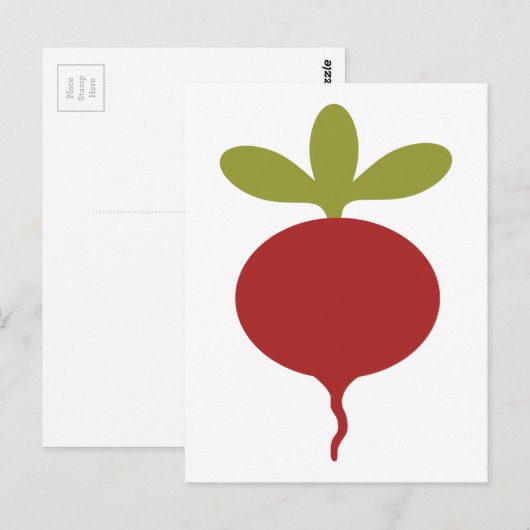 大根 ポストカード (正面/裏面)