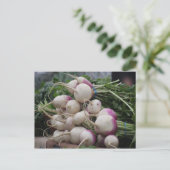 大根 ポストカード (スタンド正面)