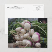 大根 ポストカード (正面/裏面)