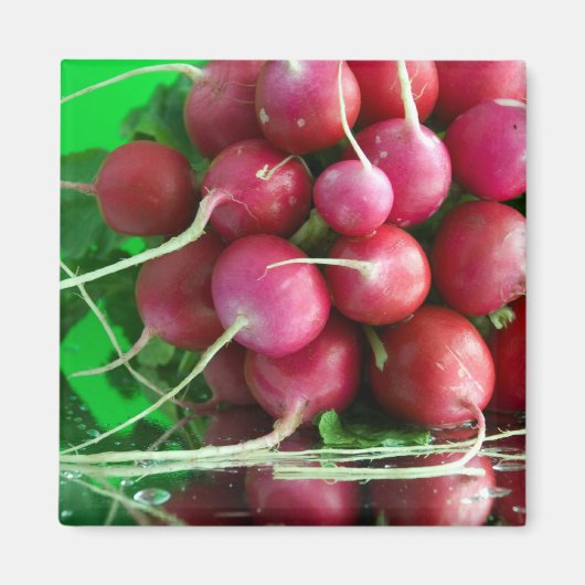 大根 マグネット (正面)