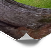 大樹枝 ポスター (角)