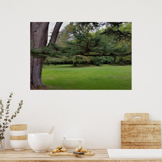 大樹枝 ポスター (キッチン)